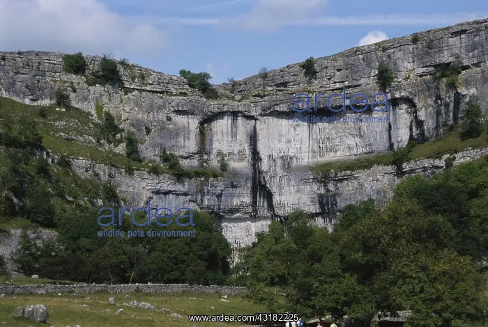 : Malham Cove Limestone Cliffs : Malham Cove Limestone Cliffs