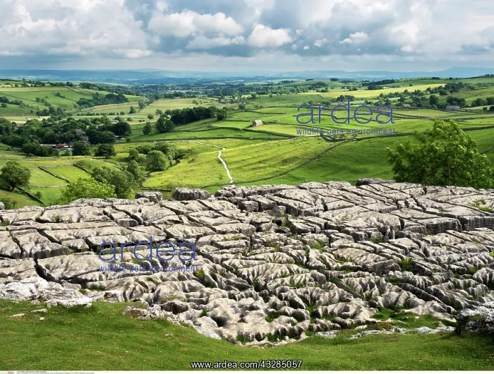: Malhamdale from Malham Cove : Malhamdale from Malham Cove