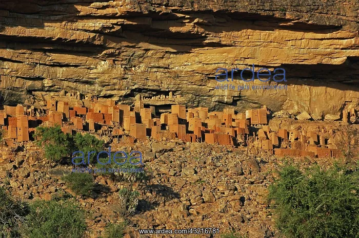 : MALI, Dogon Lands. Traditional Tellem (malian : MALI, Dogon Lands. Traditional Tellem (malian