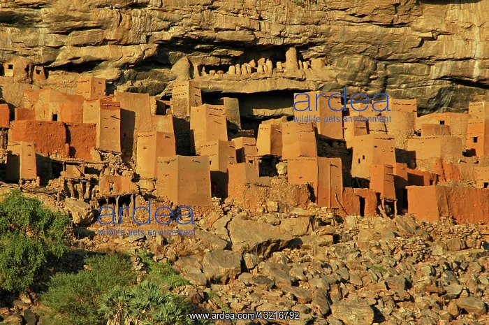 : MALI, Dogon Lands. Traditional Tellem (malian : MALI, Dogon Lands. Traditional Tellem (malian