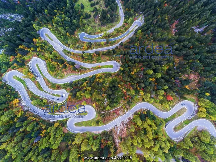 : Maloja Pass, winding Swiss Alpine pass, drone photo : Maloja Pass, winding Swiss Alpine pass, drone photo