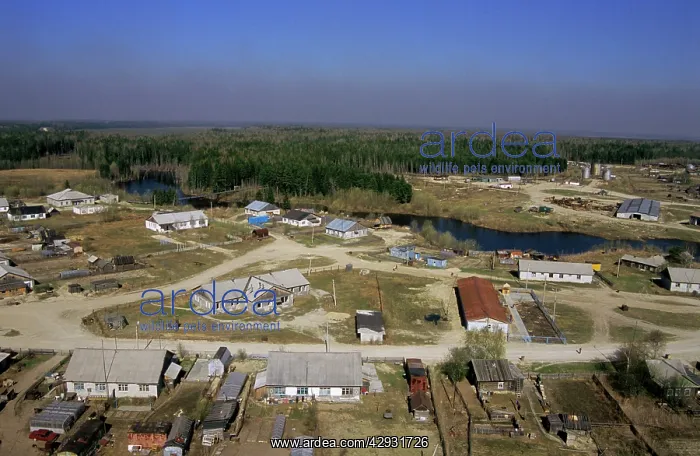 : Maloyuganskii village - aerial of village and taiga forest : Maloyuganskii village - aerial of village and taiga forest