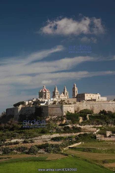 : Malta, Central, Mdina, Rabat, elevated town : Malta, Central, Mdina, Rabat, elevated town