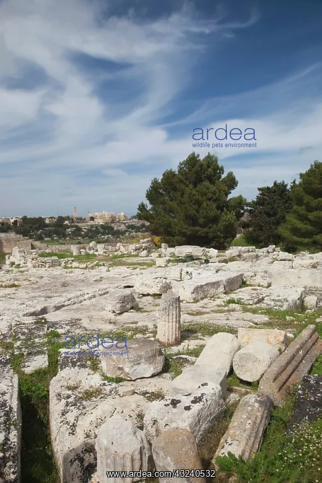 : Malta, Central, Mdina, Rabat, Ruins of Roman : Malta, Central, Mdina, Rabat, Ruins of Roman