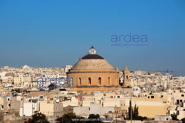 : Malta, Central, Mosta, Mosta Dome church : Malta, Central, Mosta, Mosta Dome church