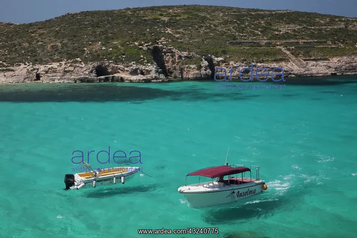  : Malta, Comino Island, The Blue Lagoon