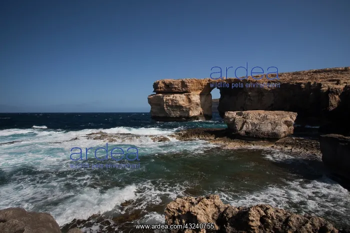 : Malta, Gozo Island, Dwejra, Azure Window : Malta, Gozo Island, Dwejra, Azure Window