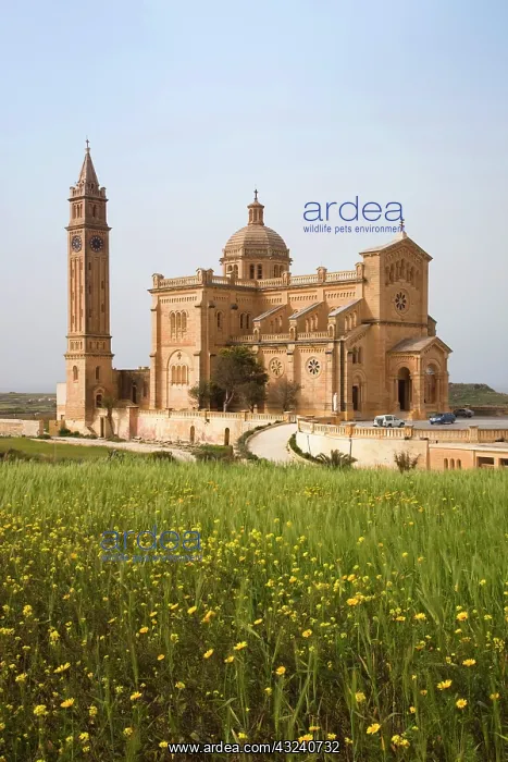 : Malta, Gozo Island, Gharb, Basilica of Ta-Pinu : Malta, Gozo Island, Gharb, Basilica of Ta-Pinu