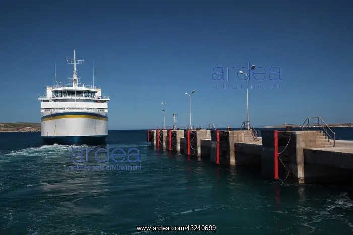 : Malta, Northwest Malta, Cirkewwa, Malta-Gozo : Malta, Northwest Malta, Cirkewwa, Malta-Gozo