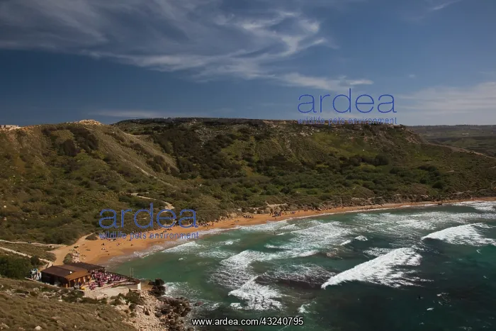 : Malta, Northwest Malta, Ghajn Tuffieha Bay : Malta, Northwest Malta, Ghajn Tuffieha Bay