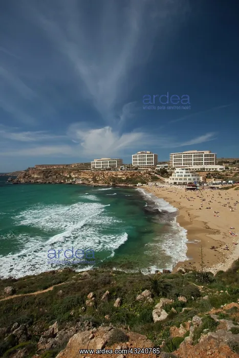 : Malta, Northwest Malta, Golden Bay Beach : Malta, Northwest Malta, Golden Bay Beach