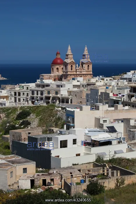 : Malta, Northwest Malta, Mellieha, Church : Malta, Northwest Malta, Mellieha, Church