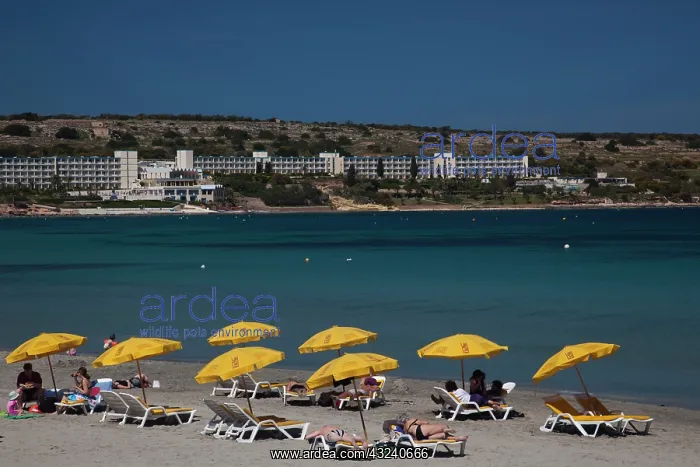 : Malta, Northwest Malta, Mellieha, Mellieha : Malta, Northwest Malta, Mellieha, Mellieha