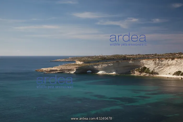 : Malta, Southeast, Marsaxlokk, Delimara Point : Malta, Southeast, Marsaxlokk, Delimara Point