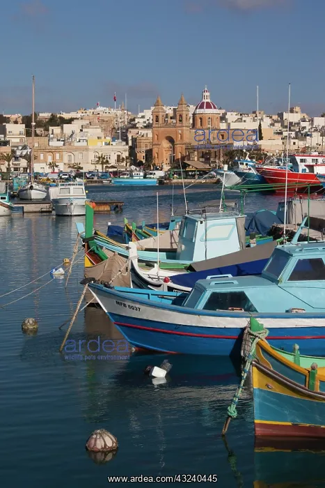 : Malta, Southeast, Marsaxlokk, harbor and : Malta, Southeast, Marsaxlokk, harbor and
