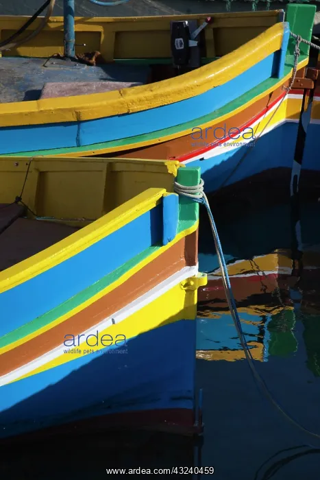 : Malta, Southeast, Marsaxlokk, harbor and : Malta, Southeast, Marsaxlokk, harbor and