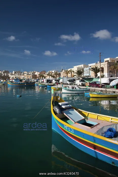 : Malta, Southeast, Marsaxlokk, harbor and : Malta, Southeast, Marsaxlokk, harbor and