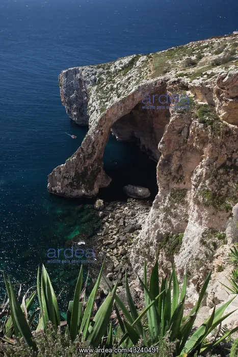 : Malta, Southeast, Wied iz-Zurrieq, Blue : Malta, Southeast, Wied iz-Zurrieq, Blue
