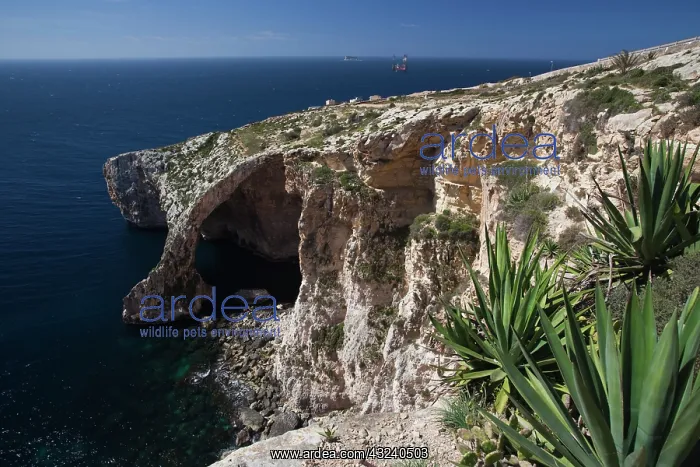 : Malta, Southeast, Wied iz-Zurrieq, Blue : Malta, Southeast, Wied iz-Zurrieq, Blue