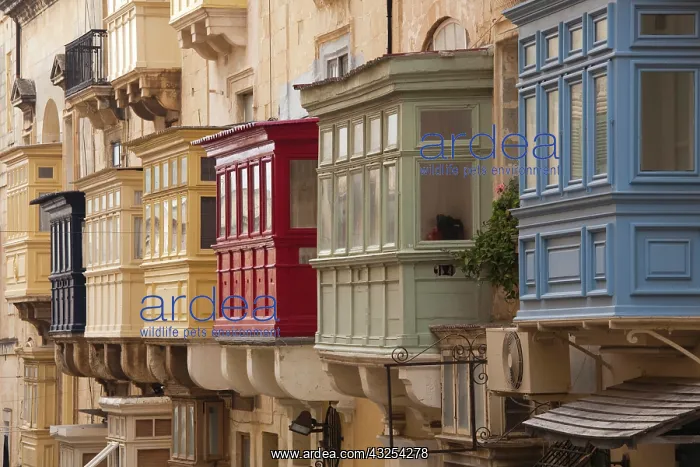  : Malta, Valletta, building detail, Triq il-Repubblika