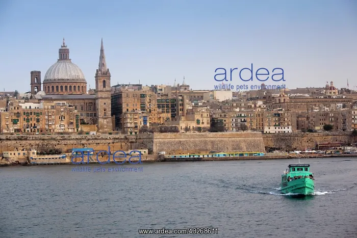 : Malta, Valletta, Ferry to Sliema, Marsamxett : Malta, Valletta, Ferry to Sliema, Marsamxett