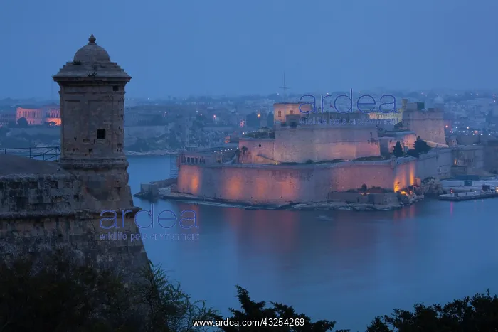 : Malta, Valletta, Senglea, L-Isla, elevated : Malta, Valletta, Senglea, L-Isla, elevated