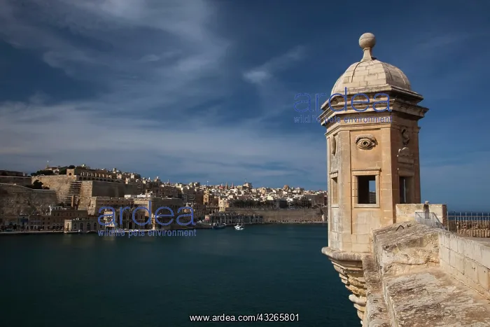  : Malta, Valletta, Senglea, L-Isla, Senglea