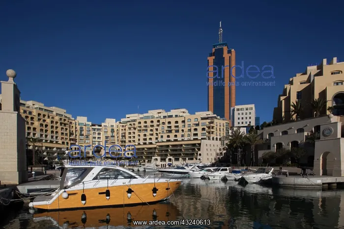 : Malta, Valletta, St. Julian's, Portomaso : Malta, Valletta, St. Julian's, Portomaso