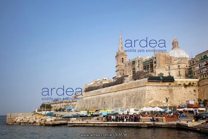  : Malta, Valletta, St. Paul's Anglican Cathedral