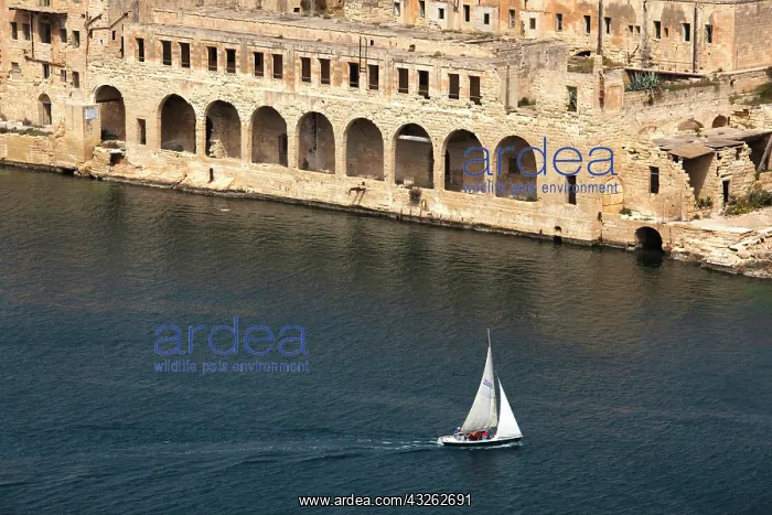 : Malta, Valletta, Ta'Xbiex, sailing by Fort : Malta, Valletta, Ta'Xbiex, sailing by Fort