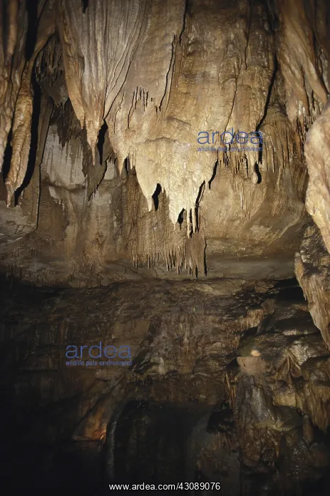 : Mammoth Cave : Mammoth Cave
