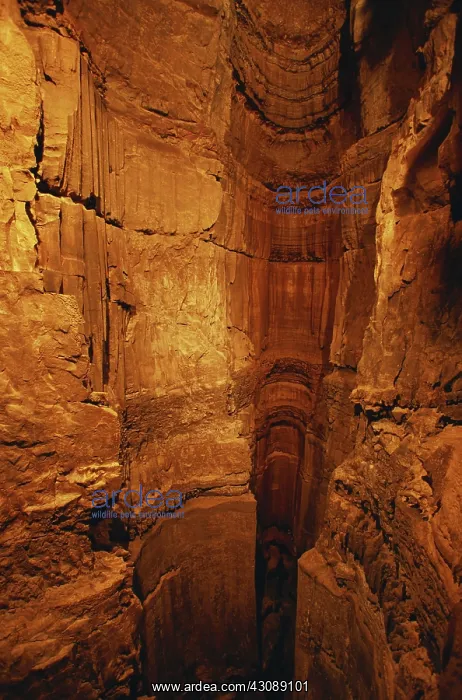 : Mammoth Cave : Mammoth Cave