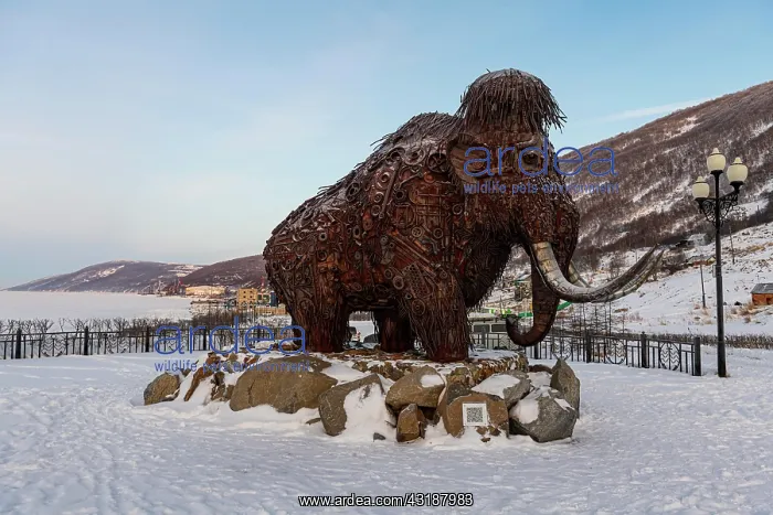 : Mammoth monument in Nagaev Bay, Magadan, Magadan : Mammoth monument in Nagaev Bay, Magadan, Magadan