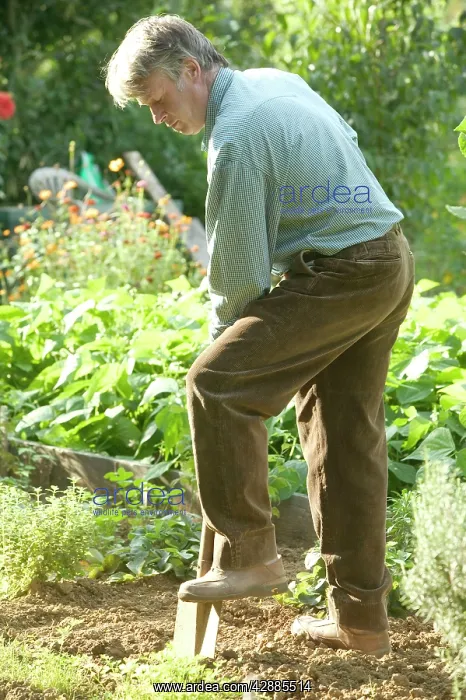  : Man - digging in vegetable garden