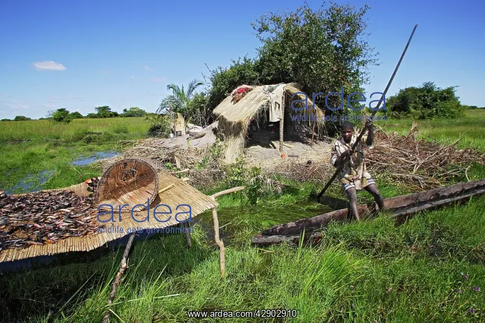 : Man - fishing from boat in Bangweuleu Marsh, with : Man - fishing from boat in Bangweuleu Marsh, with