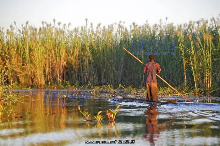  : Man - fishing from boat in Bangweuleu Marsh