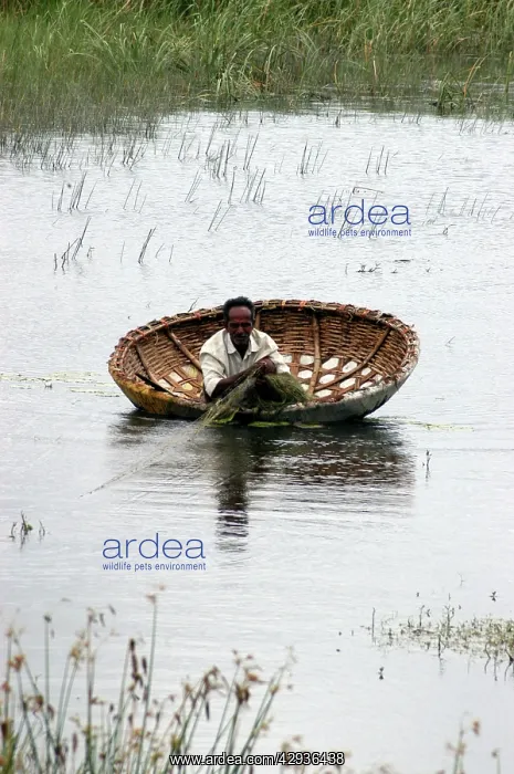 : Man fishing from a coracle in temporary pool : Man fishing from a coracle in temporary pool