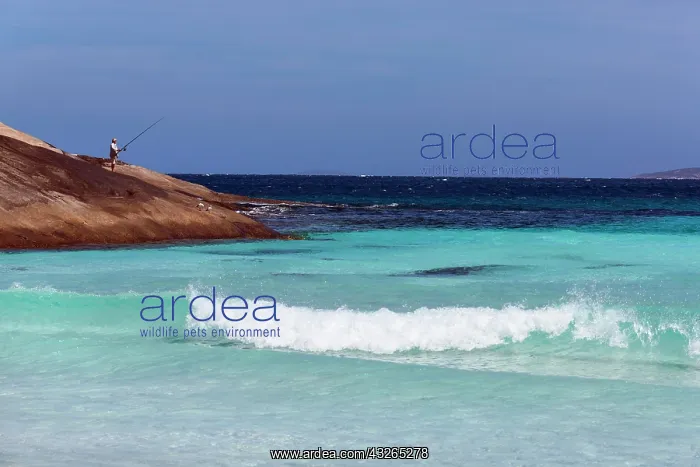 : Man fishing from the rocks, Esperance, Western Australia : Man fishing from the rocks, Esperance, Western Australia