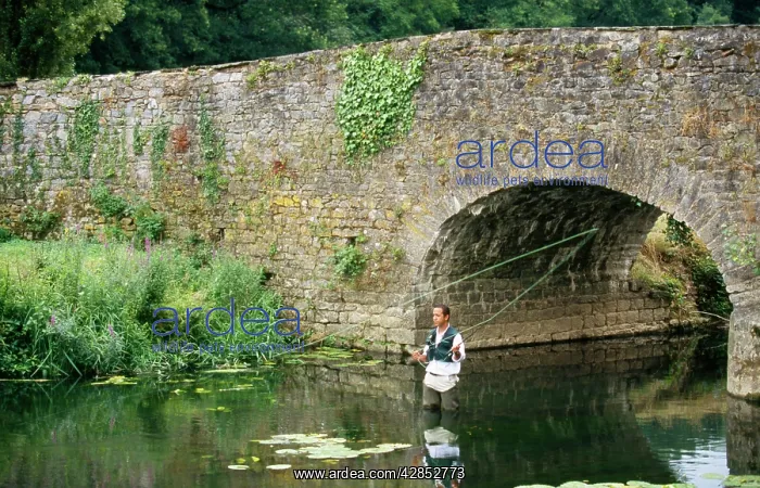  : Man FISHING - for Trout near bridge