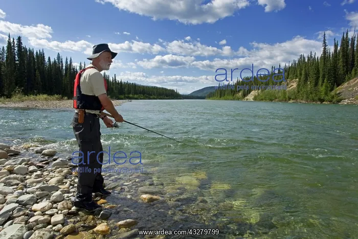  : Man fishing upper Liard River, clear, shallow water