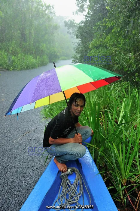 : Man - guide on the boat with heavy rain on the : Man - guide on the boat with heavy rain on the