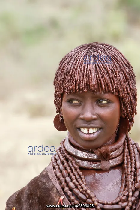 : Man - Hamer tribe : Man - Hamer tribe