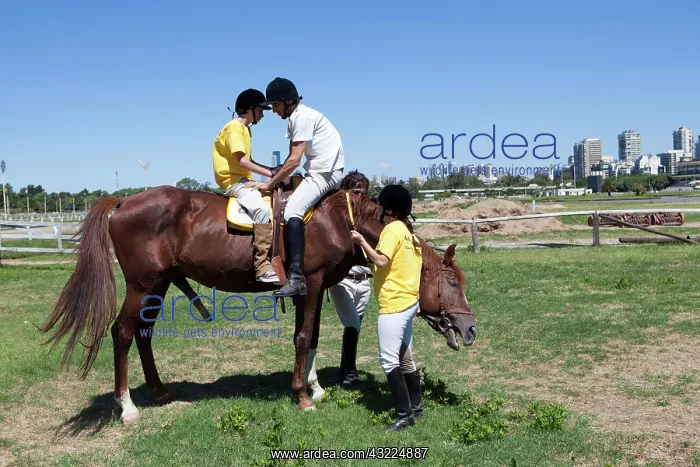 : Man helping a child to perform a balancing act : Man helping a child to perform a balancing act