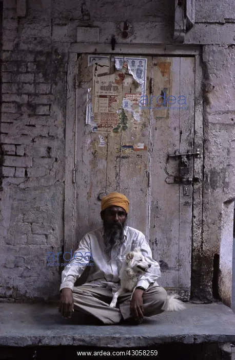: Man holding a dog sitting on his lap Amritsar India : Man holding a dog sitting on his lap Amritsar India