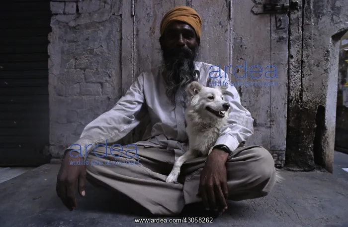 : Man holding a dog sitting on his lap Amritsar India : Man holding a dog sitting on his lap Amritsar India