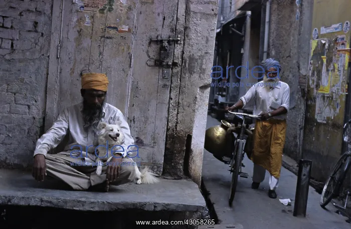 : Man holding a dog sitting on his lap Amritsar India : Man holding a dog sitting on his lap Amritsar India