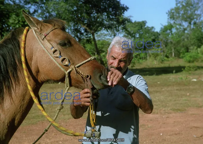 : Man with Horse : Man with Horse