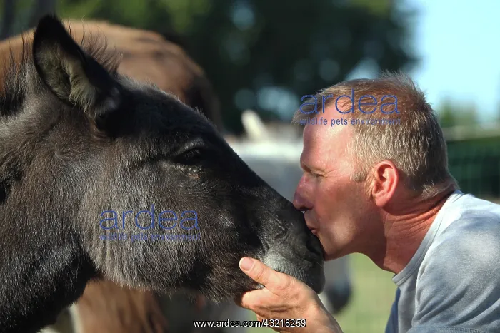  : Man kissing a donkey - France