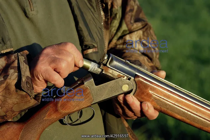 : Man - loading gun for hunting small game