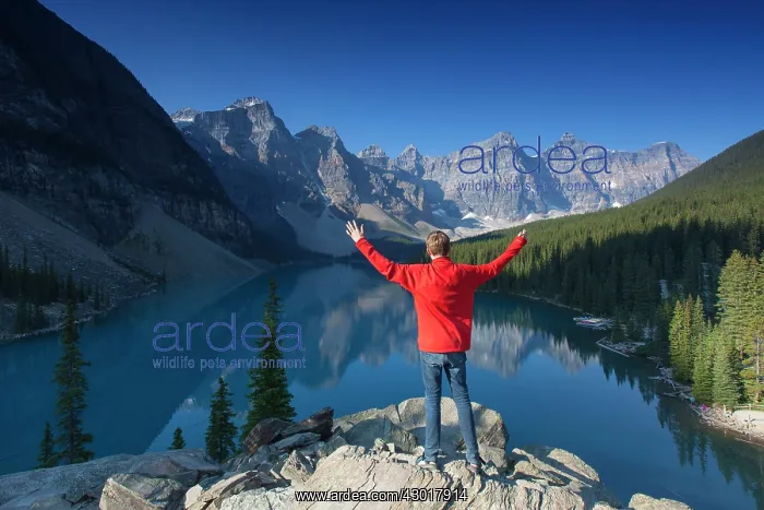 : Man at Moraine Lake in the Valley of the Ten Peaks : Man at Moraine Lake in the Valley of the Ten Peaks